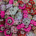 20mm Random mix Beautiful fancy Flower Acrylic Beads For Pen Making